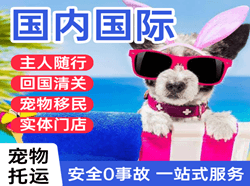阿拉尔塔里木机场快运国际宠物托运 【国
